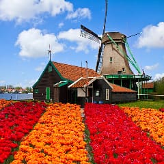 Holland